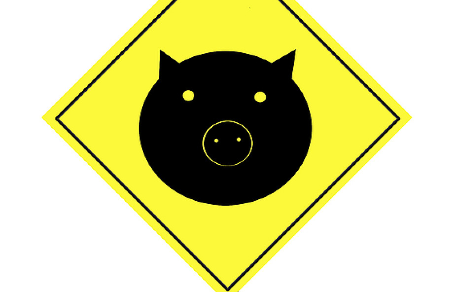 Ubezpieczenie od świńskiej grypy w Polsce