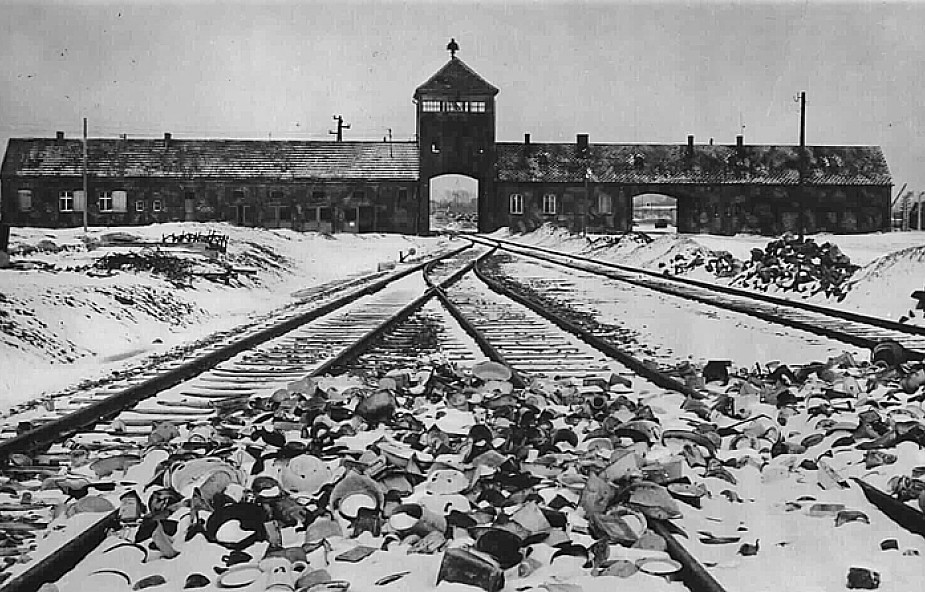 Obchody 65. rocznicy wyzwolenia Auschwitz