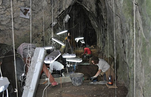 W Polsce odnaleziono szczątki neandertalczyka