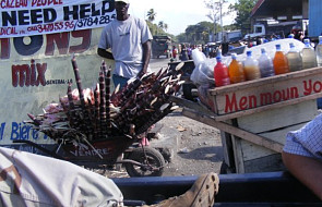 Haiti - sytuacja w miesiąc po wstrząsie