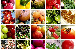 Owoce i warzywa mogą chronić przed rakiem?