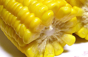 Naukowcy: GMO i szansą, i zagrożeniem