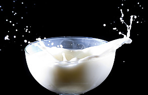 Mleko - kontrowersyjne źródło zdrowia