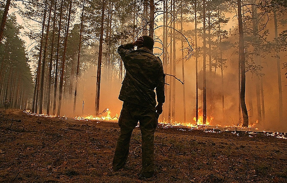Pożary w Rosji dotarły do radioaktywnych lasów