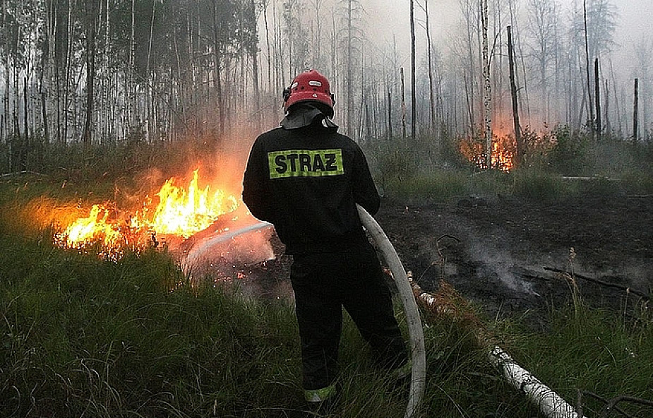 Poprawia się sytuacja z pożarami lasów w Rosji