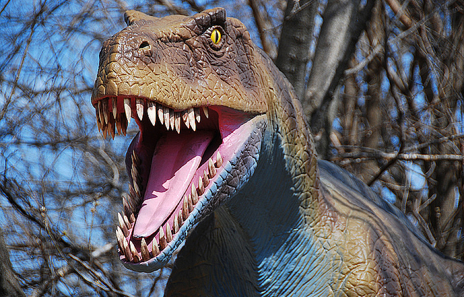 Ile dinozaurów zmieściłoby się w Central Parku?