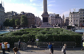 Zielony labirynt kultury na Trafalgar Square
