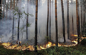 Już 50 ofiar pożarów, które szaleją w Rosji
