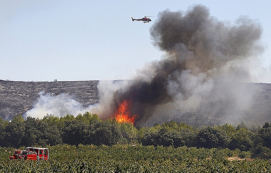 Rosja: 5 ofiar nowej fali pożarów lasów