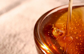 Pszczele produkty są popularne w medycynie