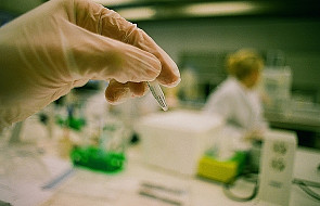 PiS złoży ponownie projekt ustawy o in vitro
