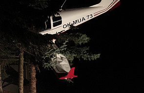Awionetka zawisła na drzewie, pilot przeżył
