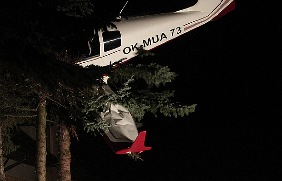 Awionetka zawisła na drzewie, pilot przeżył