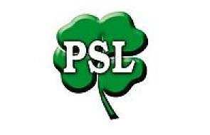 Kłopoty PSL z pieniędzmi na wybory