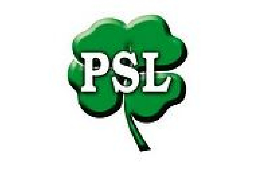 Kłopoty PSL z pieniędzmi na wybory