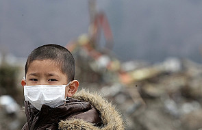 Zagrożenie zdrowia po Fukushimie niewielkie