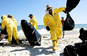 BP i 1 mld dolarów na oczyszczenie zatoki