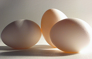 Jajko symbolem życia dla większości kultur