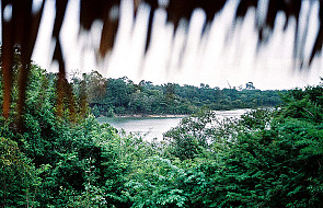 Brazylia: Kościół apeluje o ochronę Amazonii
