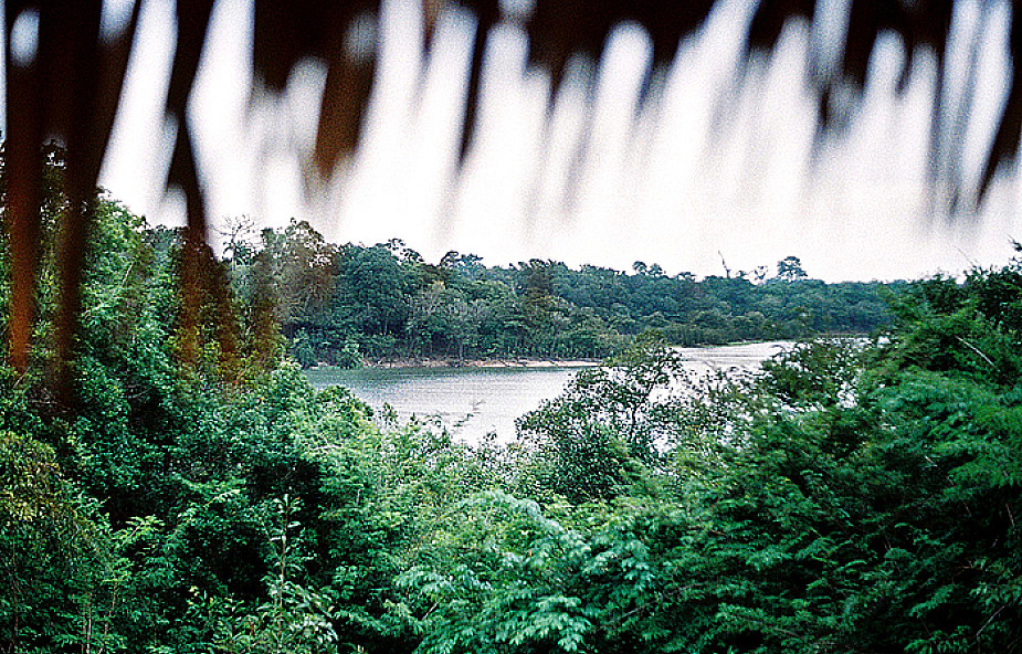 Brazylia: Kościół apeluje o ochronę Amazonii