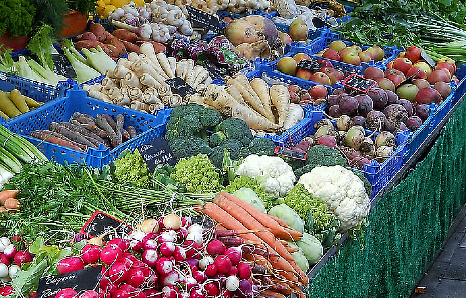 Warzywa trafią do Rosji, ale po badaniach