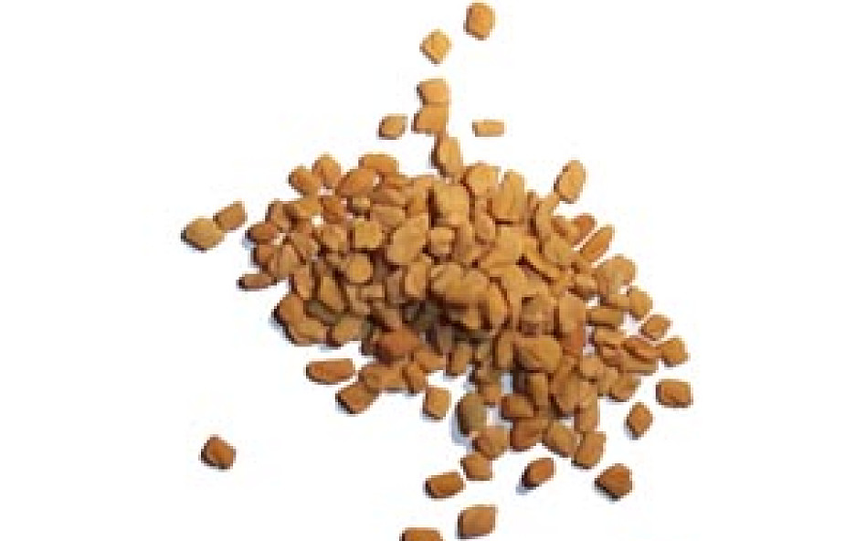 EHEC: zakaz importu nasion z Egiptu