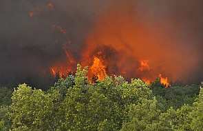 Grecja: Trwa walka z ogromnymi pożarami lasów