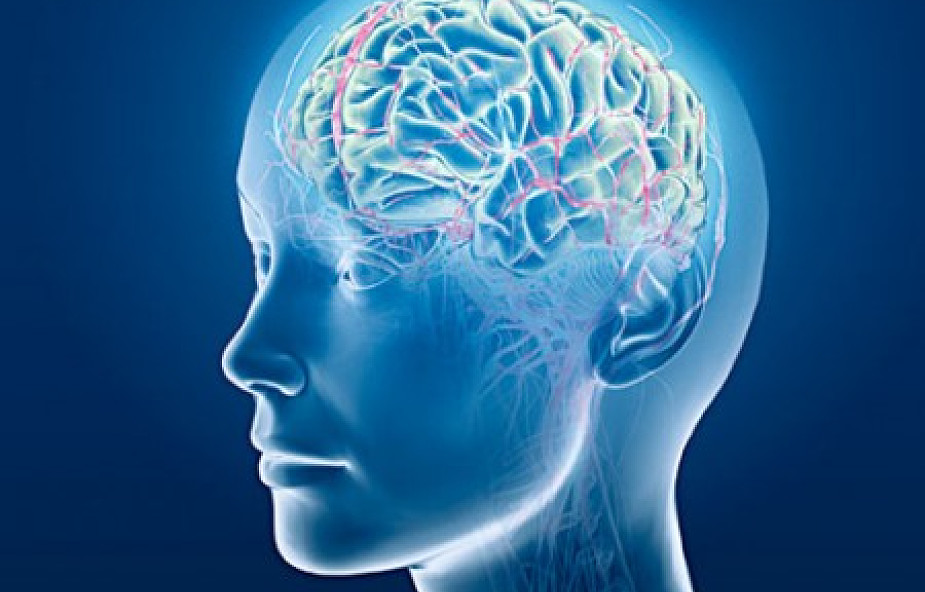 Jak zachować zdrowy mózg - radzą naukowcy