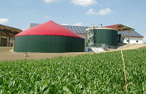 Koszt MW mocy biogazowni to ok. 15-16 mln zł