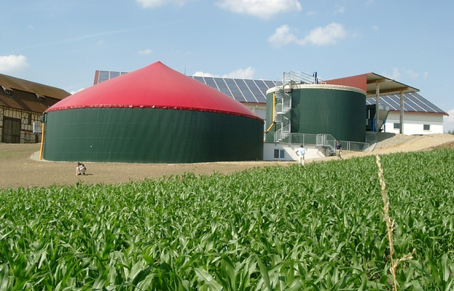 Koszt MW mocy biogazowni to ok. 15-16 mln zł