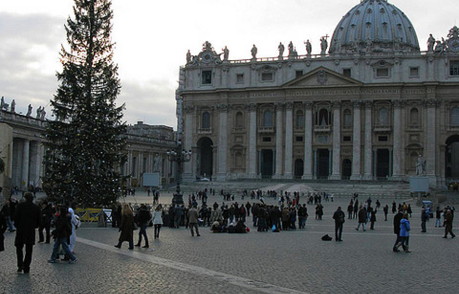 Watykan: choinka z Molise w darze dla Papieża