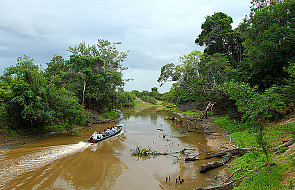 Wylesianie Amazonii wielkości Wielkiej Brytanii