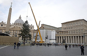 Watykan: na placu św. Piotra jest już choinka
