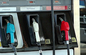 Rząd wprowadza kontrolę cen paliw