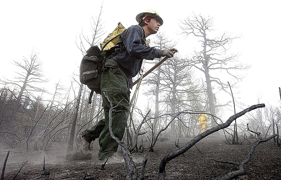 Strażacy opanowali pożary lasów w Kolorado