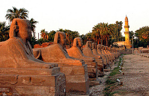 30 turystów ma problemy z powrotem z Egiptu