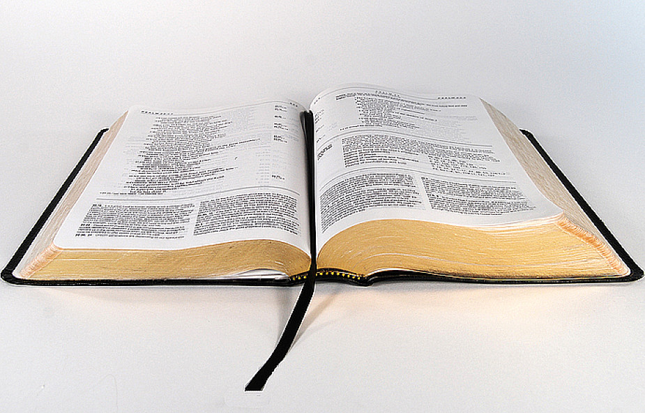 Biblia, Doda, wyrok i... jego uzasadnienie