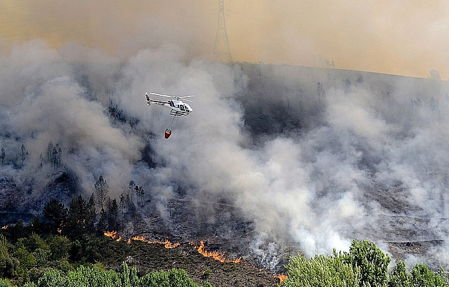 W Hiszpanii znów szaleją pożary lasów