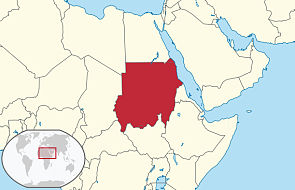 Sudan: wybuch samolotu z delegacją rządową