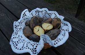 Dzionie i rakowskie ziemniaki pieczone