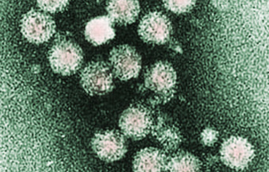 HCV to niewidzialny niszczyciel wątroby