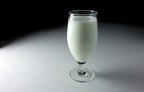 Zanieczyszczone mleko trafiło do 8 firm