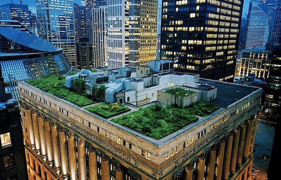 20 000 roślin na dachu ratusza w Chicago