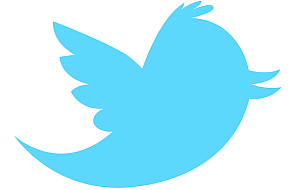 Akcje Twittera wzrosły o prawie 73 proc.