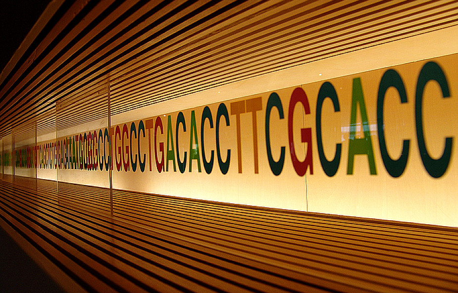 USA: Nie wolno opatentować ludzkich genów