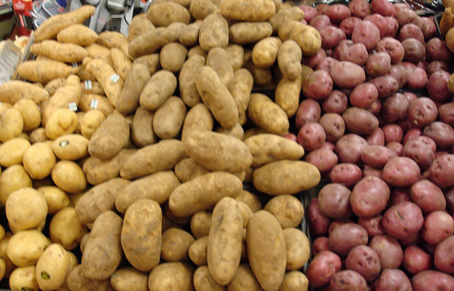 Rosja zawiesza import ziemniaków z UE