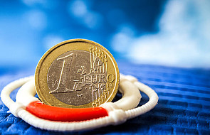 Polacy podzieleni w sprawie przyjęcia Euro