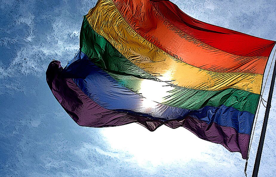 TVP włączy się w promocję homozwiązków
