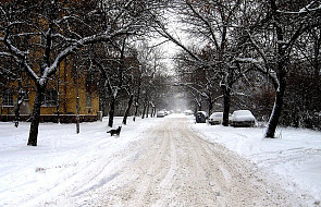 Bułgaria: atak zimy, tysiące domów bez prądu