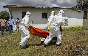 WHO: na ebolę zmarło już ponad 4900 osób